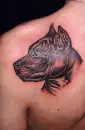 tatoo