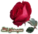 islamic azkar