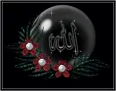 Allah's name....Flower