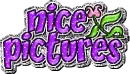 nice pics