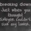 anti twilight