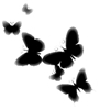 Butterflys