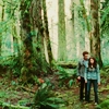 Twilight