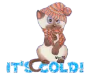 It's cold!