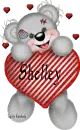 creddy bear with name Shelley