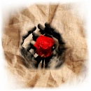 Love is....