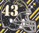 Steelers02