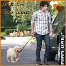 Nick J Elvis