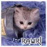 rawr!!