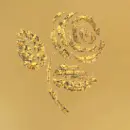 Rose1