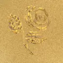 Gold-Rose