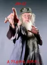 Dumbledore sees a flying bird