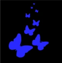 blue and black butterflies