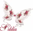 Siddia