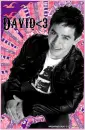 Preppy - David Archuleta - REQUESTED!
