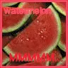 watermelon