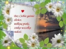 Words