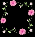 frame