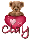 Teddy Bear