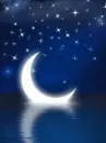 night