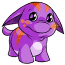 Cute