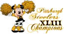 Pittsburgh Steelers XLIII Champions