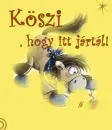 kÃ¶szÃ¶nÃ©s