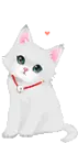 cute kitten