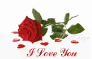 i love u