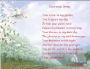 love dove