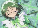 Lettuce Midorikawa