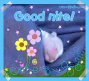 good nite