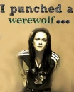 I Punched A Werewolf