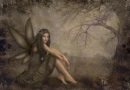 Woodland Fairy