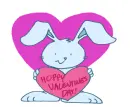 Bunny love