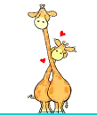 Giraffe love