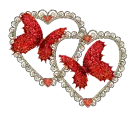 butterfly heart