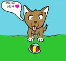 puppy play