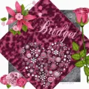 Bridget
