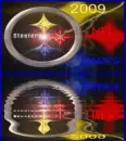 STEELERS 2009 CHAMPS
