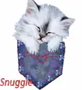 hugs kitty