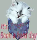 It's been a hard day