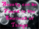 beauty in small things