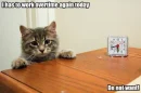 kitten overtime