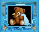 Framed Bear My Riley Bear