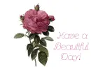 Have a Beautiful Day!