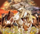 horses