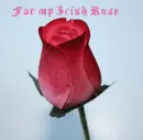 irish rose