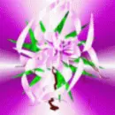 Orchidea