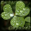 clover